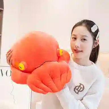 35cm45cm