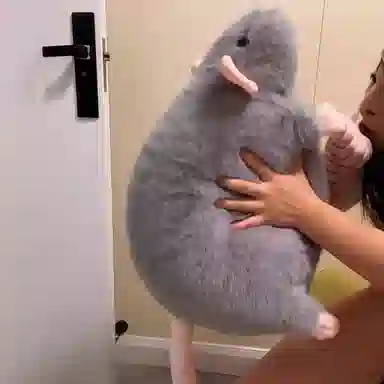 30cm50cm90cm