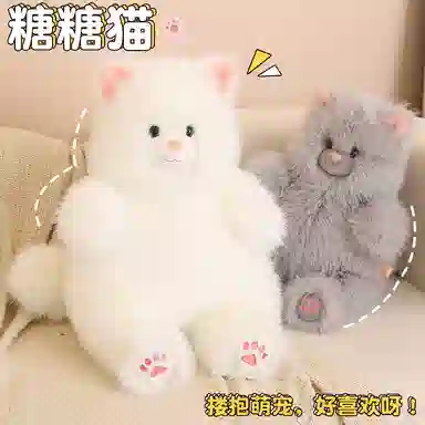 40cm50cm