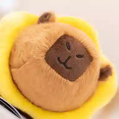 16cm20cm