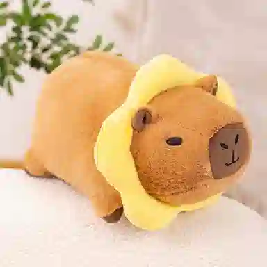 16cm20cm