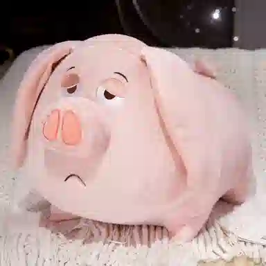 25cm40cm60cm