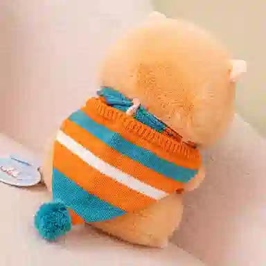 25cm30cm