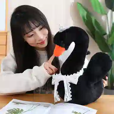 28cm38cm