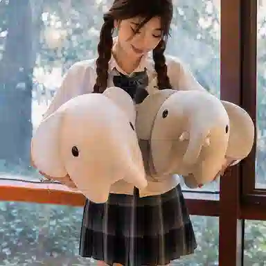 30cm45cm