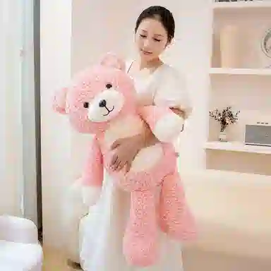 50cm70cm100cm