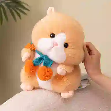 25cm30cm