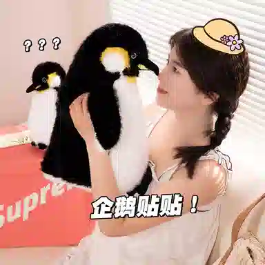 25cm35cm40cm50cm65cm