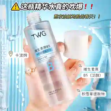 TWG B5 200ml