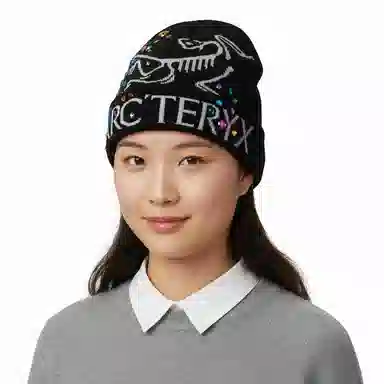 Arc'teryx Fantasy Beanie