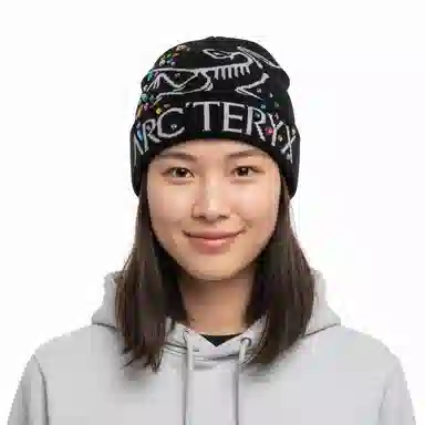 Arc'teryx Fantasy Beanie
