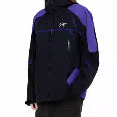Arcteryx GORE-TEX LOGO