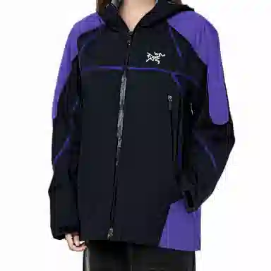Arcteryx GORE-TEX LOGO