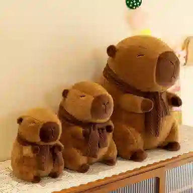 25cm30cm40cm90cm50cm