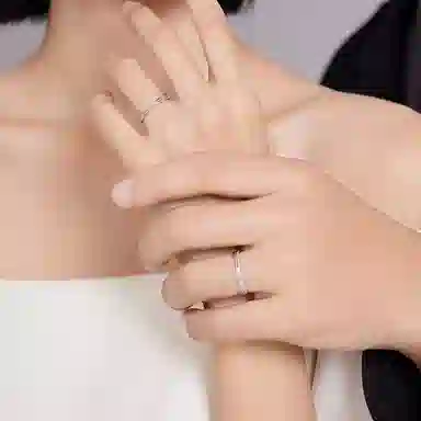 ins S925