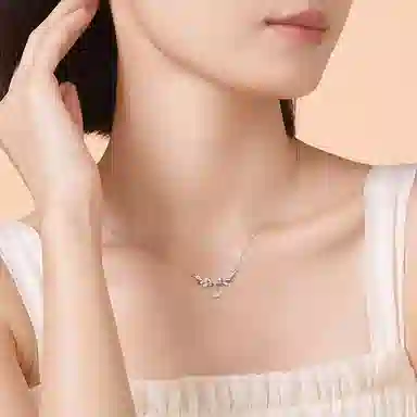 ins S925