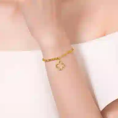 ins S925