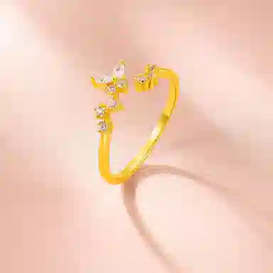 ins S925