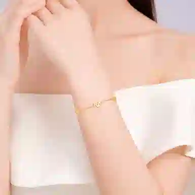 ins S925