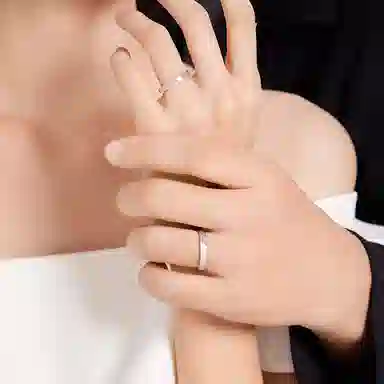 ins S925