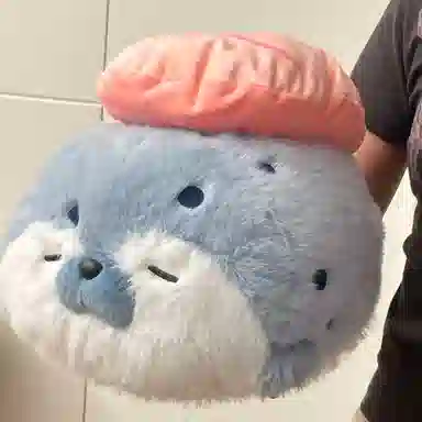 40cm70cm