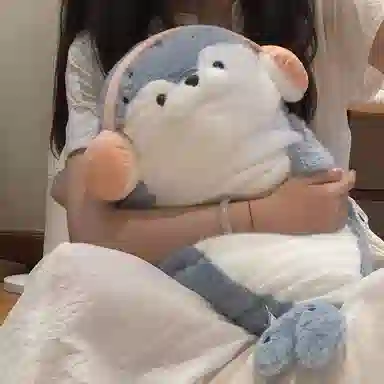 40cm70cm
