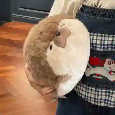 40cm70cm