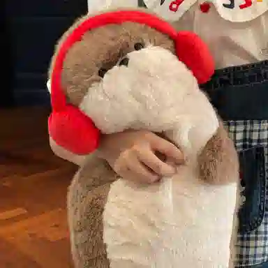40cm70cm
