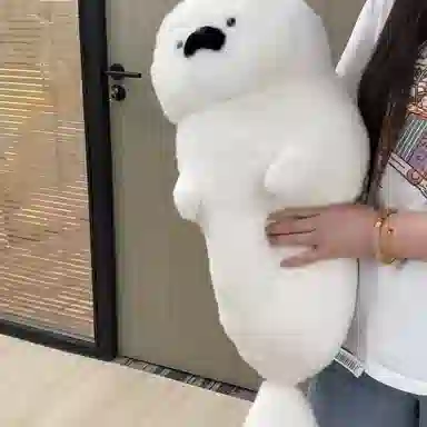 40cm70cm