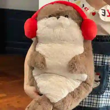 40cm70cm