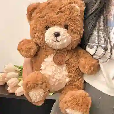 bear 25cm35cm50cm