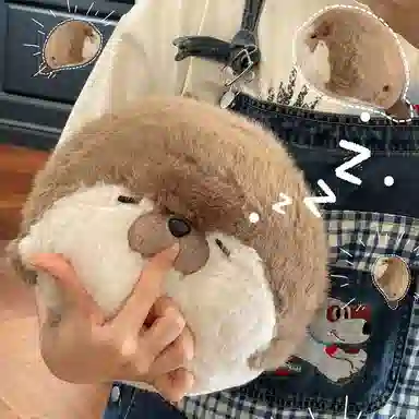 40cm70cm