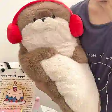 40cm70cm