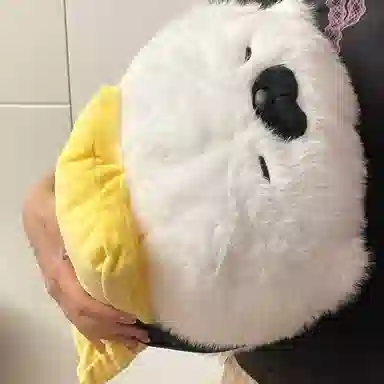 40cm70cm
