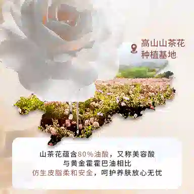 上朵 山茶花精华沁润面膜 舒缓保湿