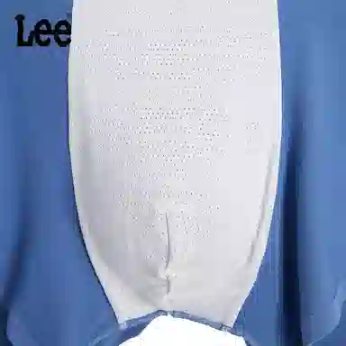 Lee 4