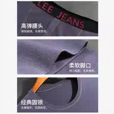 Lee 60S 2