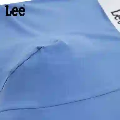 Lee 4