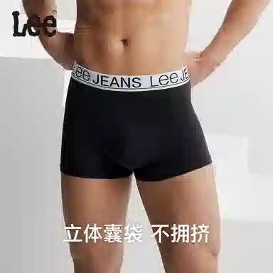 Lee 3