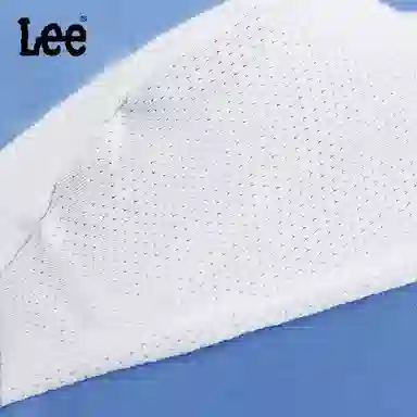 Lee 4