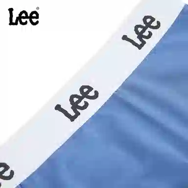 Lee 4