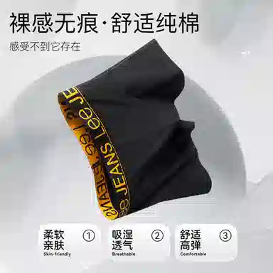 Lee 3