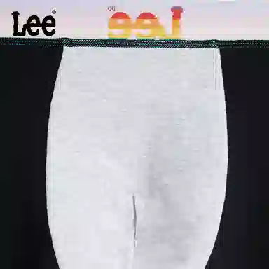 Lee 3