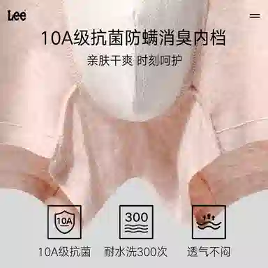 Lee 60 A10A3