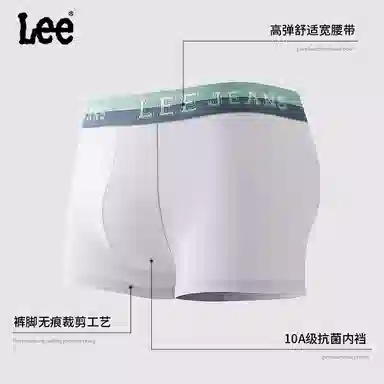 Lee 4
