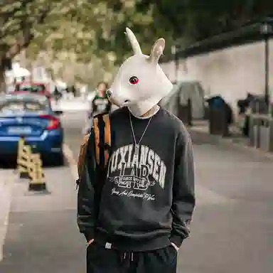 兔先森 无性别主义加绒保暖宽松垂感美式复古时尚潮牌字母印花宽松圆领套头卫衣 男女同款