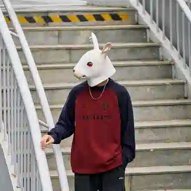 兔先森 美式复古字母刺绣插肩袖宽松时尚百搭拼接撞色圆领套头保暖长袖针织衫 男女同款