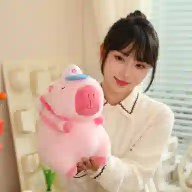 OU DI PIG 25cm35cm48cm