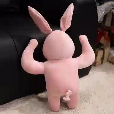 OU DI PIG 35cm45cm60cm