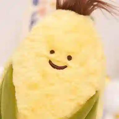 OU DI PIG 27cm33cm22cm